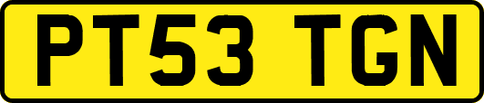 PT53TGN