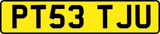 PT53TJU