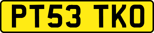 PT53TKO