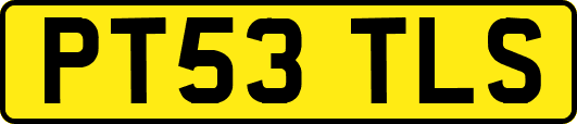 PT53TLS