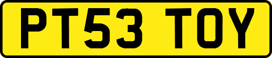 PT53TOY