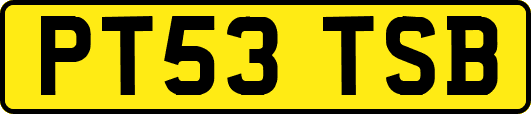 PT53TSB
