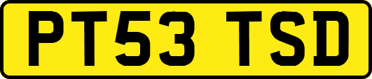 PT53TSD
