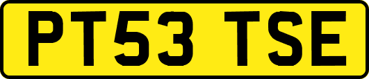 PT53TSE