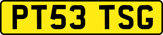PT53TSG