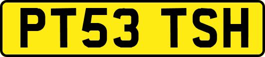 PT53TSH