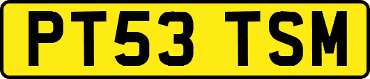 PT53TSM