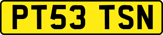 PT53TSN