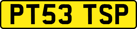 PT53TSP