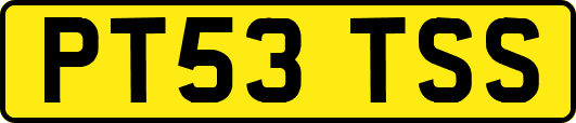PT53TSS