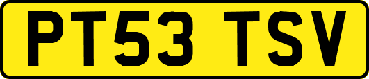 PT53TSV
