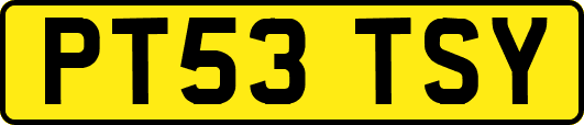 PT53TSY