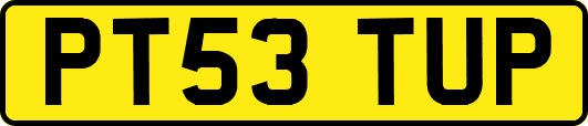 PT53TUP