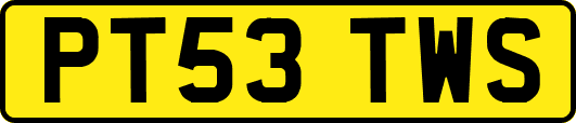 PT53TWS