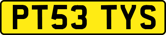 PT53TYS