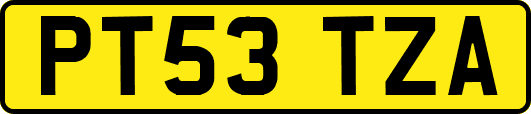 PT53TZA