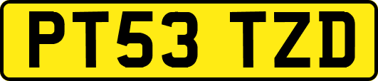 PT53TZD