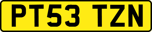 PT53TZN