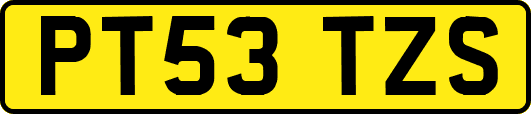 PT53TZS