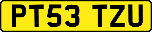 PT53TZU