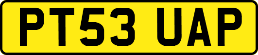 PT53UAP