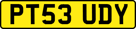 PT53UDY