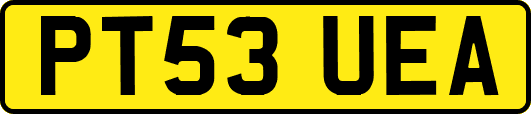 PT53UEA