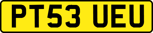 PT53UEU