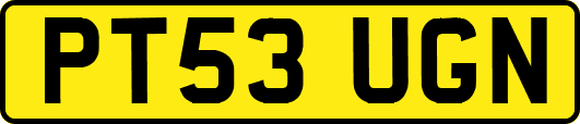 PT53UGN