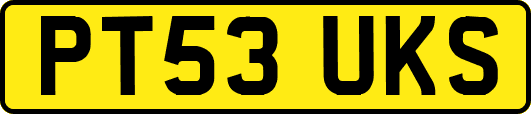 PT53UKS