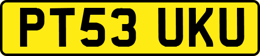 PT53UKU