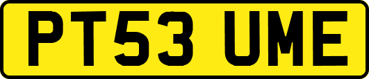 PT53UME