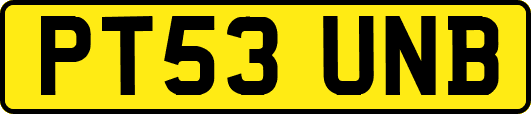 PT53UNB