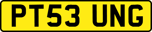 PT53UNG