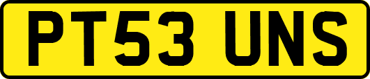 PT53UNS
