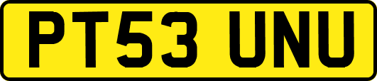 PT53UNU