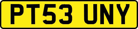 PT53UNY