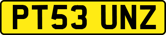 PT53UNZ