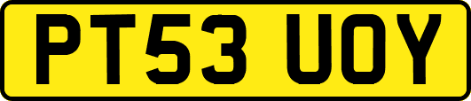 PT53UOY