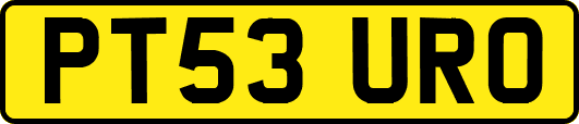 PT53URO