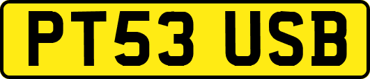 PT53USB