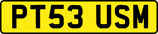 PT53USM