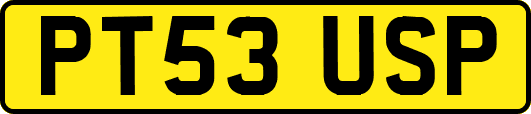 PT53USP