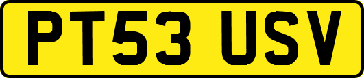 PT53USV