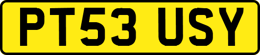 PT53USY