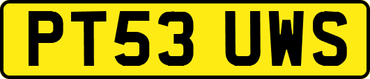 PT53UWS