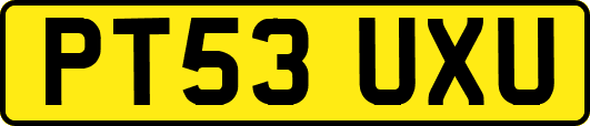 PT53UXU