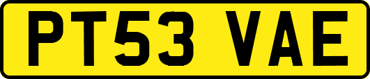 PT53VAE