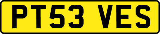 PT53VES