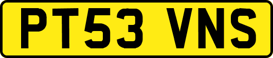 PT53VNS